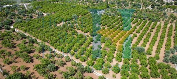  قطعة أرض في Noto, Italy 400متر مربع رقم 164212 30