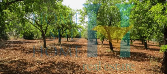  قطعة أرض في Noto, Italy 400متر مربع رقم 164212 17