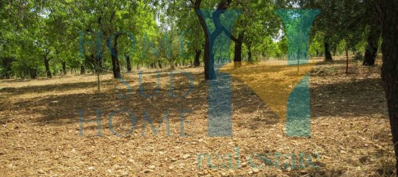  قطعة أرض في Noto, Italy 400متر مربع رقم 164212 6