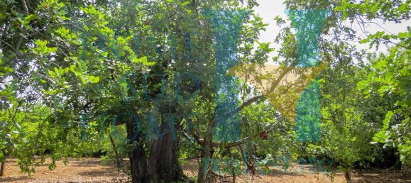  قطعة أرض في Noto, Italy 400متر مربع رقم 164212 22