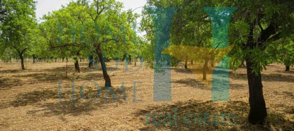  قطعة أرض في Noto, Italy 400متر مربع رقم 164212 8