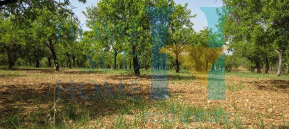  قطعة أرض في Noto, Italy 400متر مربع رقم 164212 4