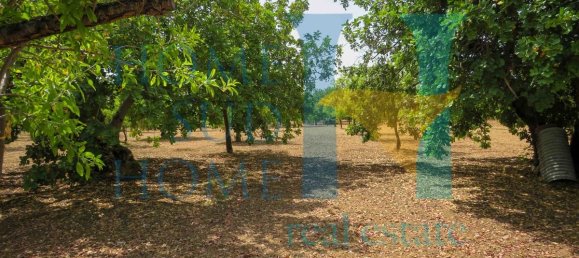  قطعة أرض في Noto, Italy 400متر مربع رقم 164212 10