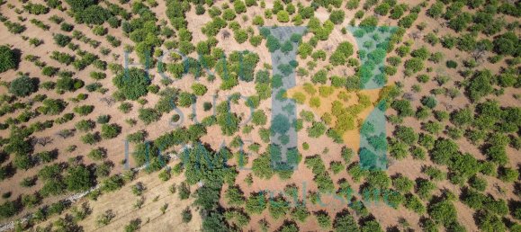  قطعة أرض في Noto, Italy 400متر مربع رقم 164212 28