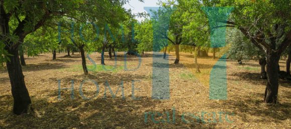  قطعة أرض في Noto, Italy 400متر مربع رقم 164212 7