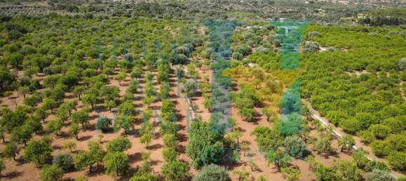  قطعة أرض في Noto, Italy 400متر مربع رقم 164212 24