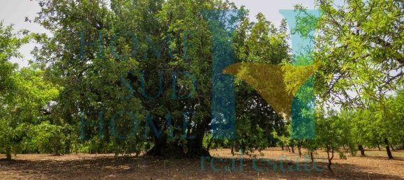  قطعة أرض في Noto, Italy 400متر مربع رقم 164212 12