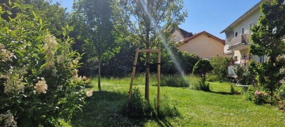 2 rooms Apartment in Modling, Austria No. 246980 19