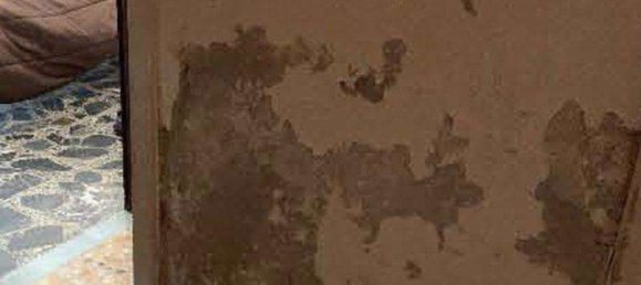 6-Zimmer Wohnung in Afragola, Italy, Nr. 303813 44