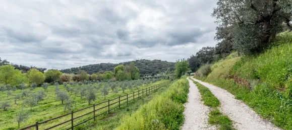 20 Schlafzimmer Schlösser in Vila Vicosa, Portugal, Nr. 144077 23
