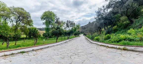 20 Schlafzimmer Schlösser in Vila Vicosa, Portugal, Nr. 144077 41