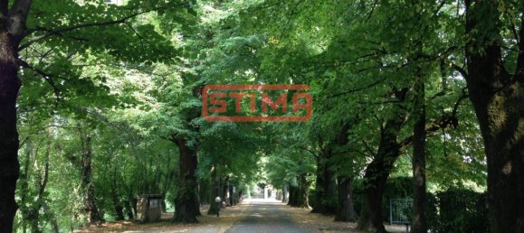 3 rooms Office in Preganziol, Italy No. 365210 4