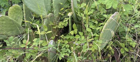 3 Schlafzimmer Haus in Saint-Chamond, France, Nr. 302266 18