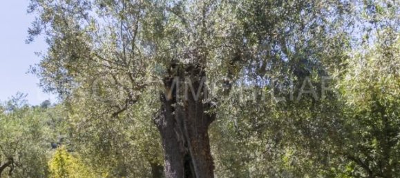 3-Zimmer Haus in Ortovero, Italy, Nr. 143856 6