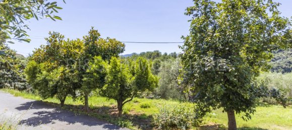 3-Zimmer Haus in Ortovero, Italy, Nr. 143856 9