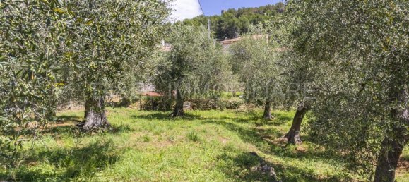 3-Zimmer Haus in Ortovero, Italy, Nr. 143856 22