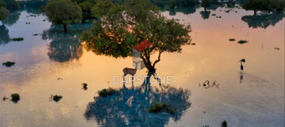 Villa T6 em Abu Dhabi, UAE N.º 26417 5