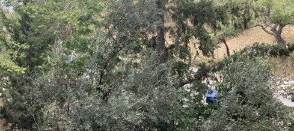 4 bedrooms Apartment in Athens, Greece No. 2809 9