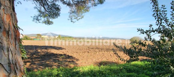 4 bedrooms House in Capalbio, Italy No. 174039 4