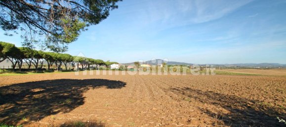 4 bedrooms House in Capalbio, Italy No. 174039 19