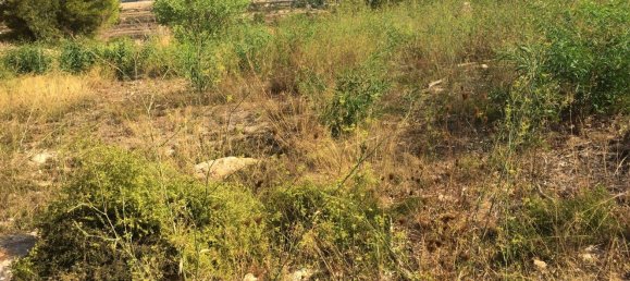 Terreno en Moraira, Spain No. 97257 8