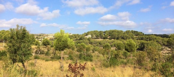 Terreno en Moraira, Spain No. 97257 7