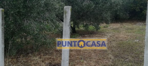 Grundstück in Teramo, Italy 500m², Nr. 101216 2