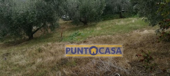 Grundstück in Teramo, Italy 500m², Nr. 101216 3