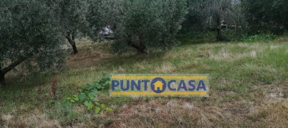 Grundstück in Teramo, Italy 500m², Nr. 101216 4