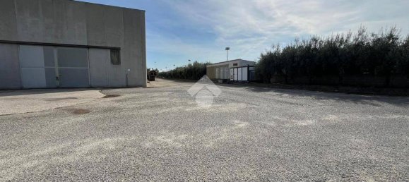 5غرفة عقار تجاري في Corigliano Rossano, Italy رقم 41548 12