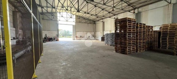 5غرفة عقار تجاري في Corigliano Rossano, Italy رقم 41548 4