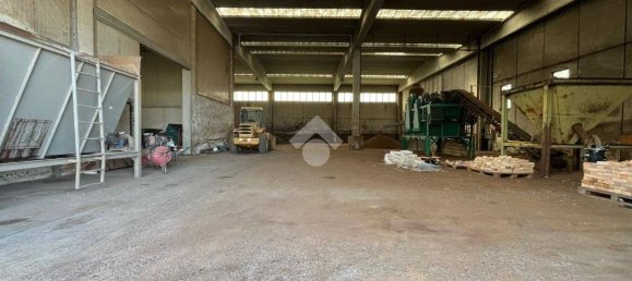 5غرفة عقار تجاري في Corigliano Rossano, Italy رقم 41548 6