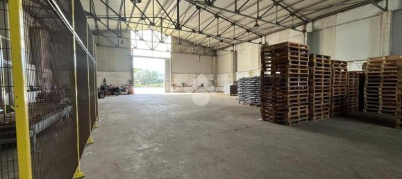 5غرفة عقار تجاري في Corigliano Rossano, Italy رقم 41548 13