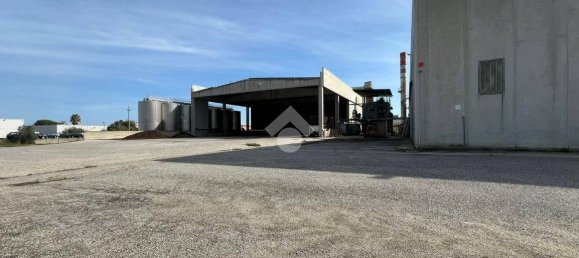 5غرفة عقار تجاري في Corigliano Rossano, Italy رقم 41548 8