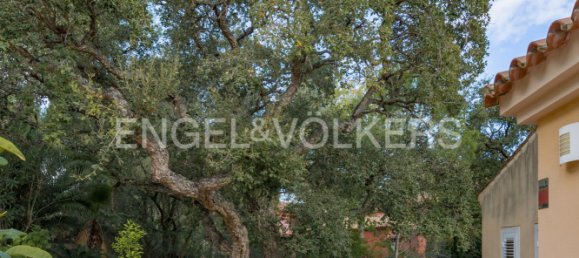 5 غرف نوم منزل في Cadiz, Spain رقم 29169 20