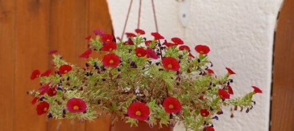 3 bedrooms House in Alicante, Spain No. 188042 11