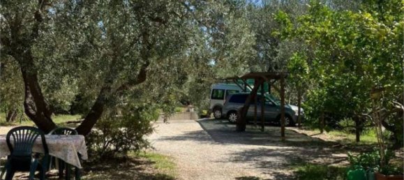 7 chambres Villa à Capoliveri, Italy No. 348976 11