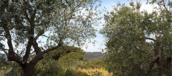 7 chambres Villa à Capoliveri, Italy No. 348976 10