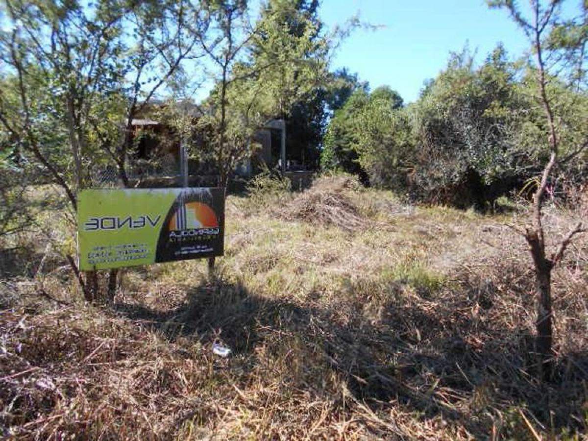 Terreno en San Luis, Argentina No. 40083