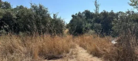 Terrain à Guadalajara, Spain No. 144937 10