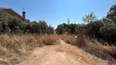 Terrain à Guadalajara, Spain No. 144937