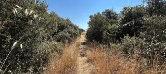 Terrain à Guadalajara, Spain No. 144937 2