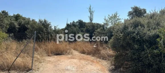 Terrain à Guadalajara, Spain No. 144937 8