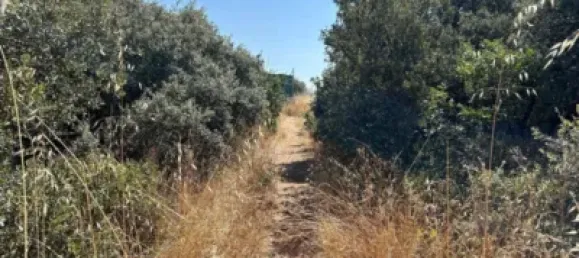 Terrain à Guadalajara, Spain No. 144937 3