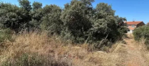 Terrain à Guadalajara, Spain No. 144937 7