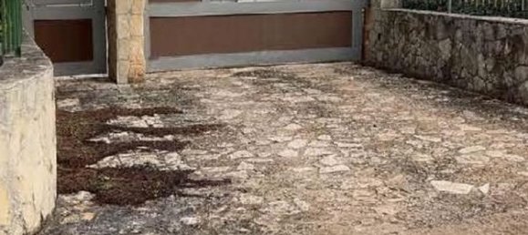 6 rooms Villa in Castellana Grotte, Italy No. 259833 12