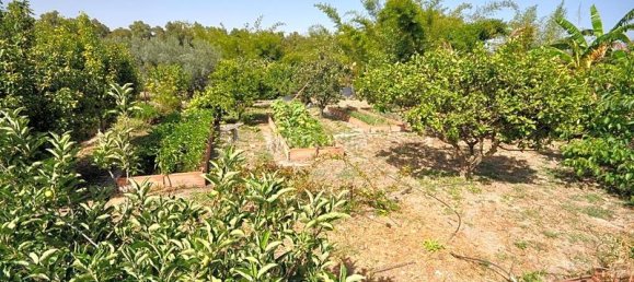 4 bedrooms House in Casares, Spain No. 38734 12