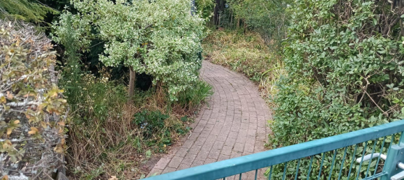 6 rooms Townhouse in Ludwigshafen am Rhein, Germany No. 315845 5