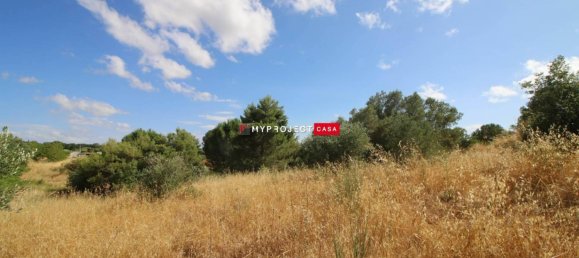 16000m² Land in Martina Franca, Italy No. 283488 4