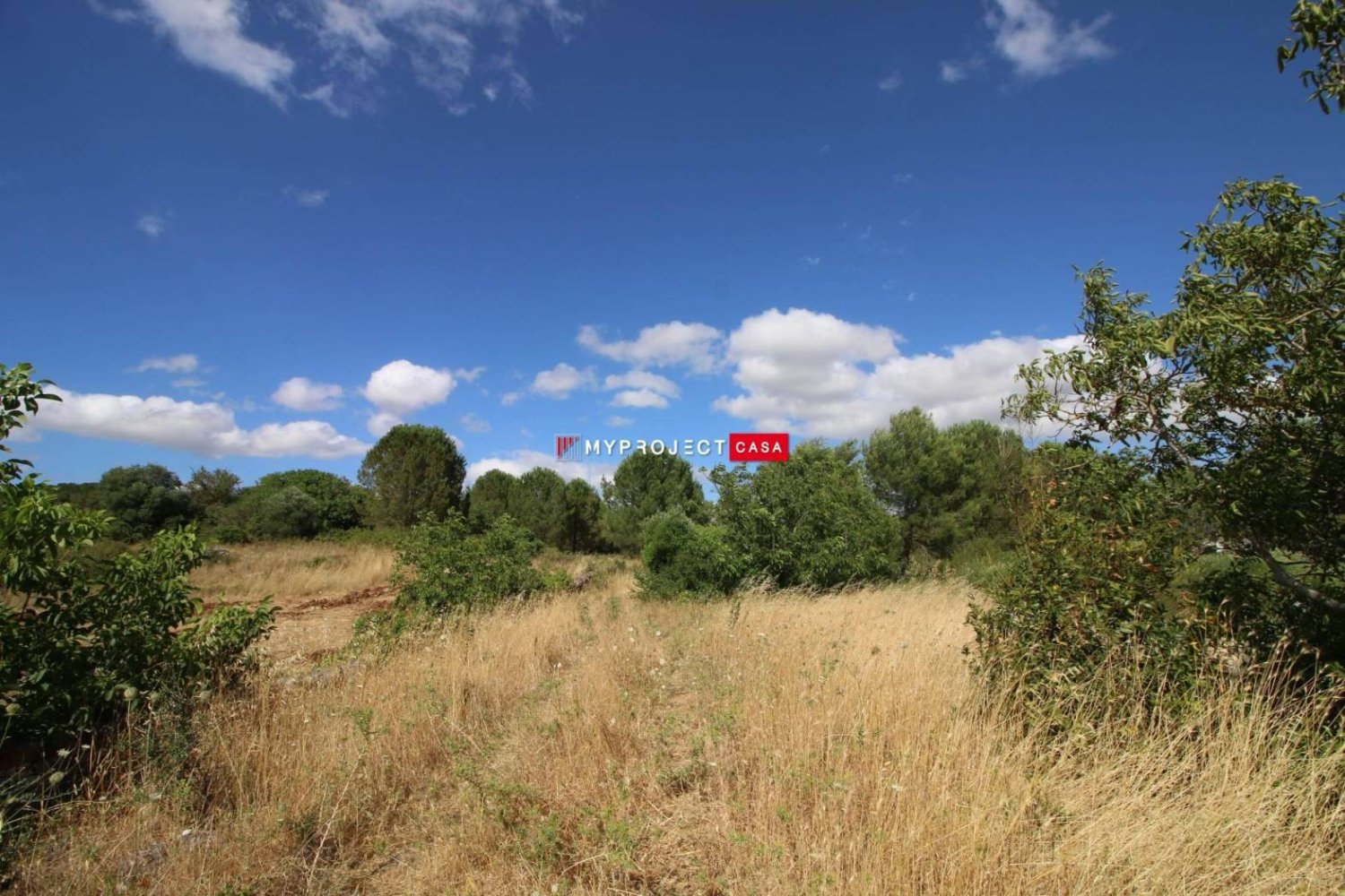 16000m² Land in Martina Franca, Italy No. 283488